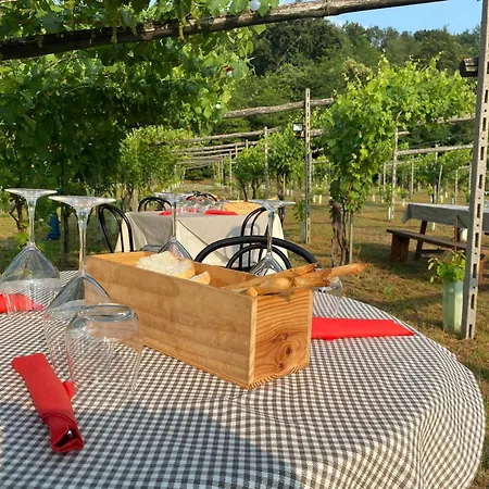 Tarello 1880 Bed & Breakfast